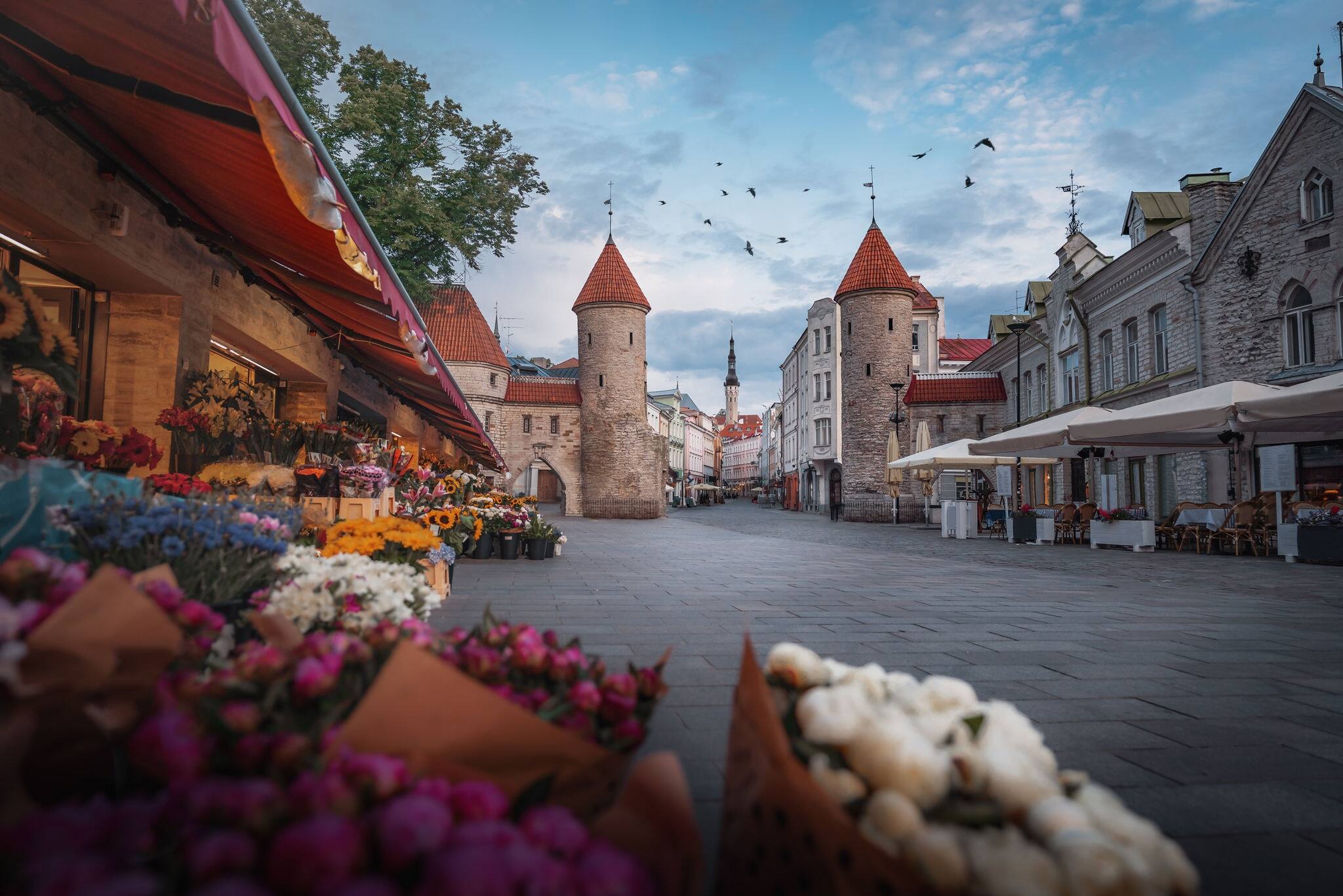 Viru Gate with Tallinn Town Hall on background - Tallinn, Estonia