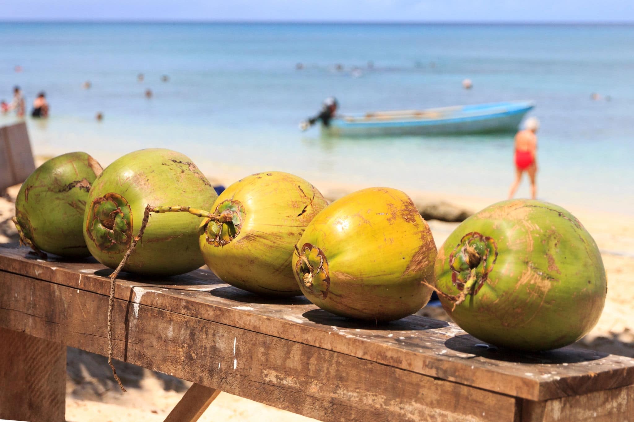 Coconuts on Dravuni island, Fiji, South Pacific