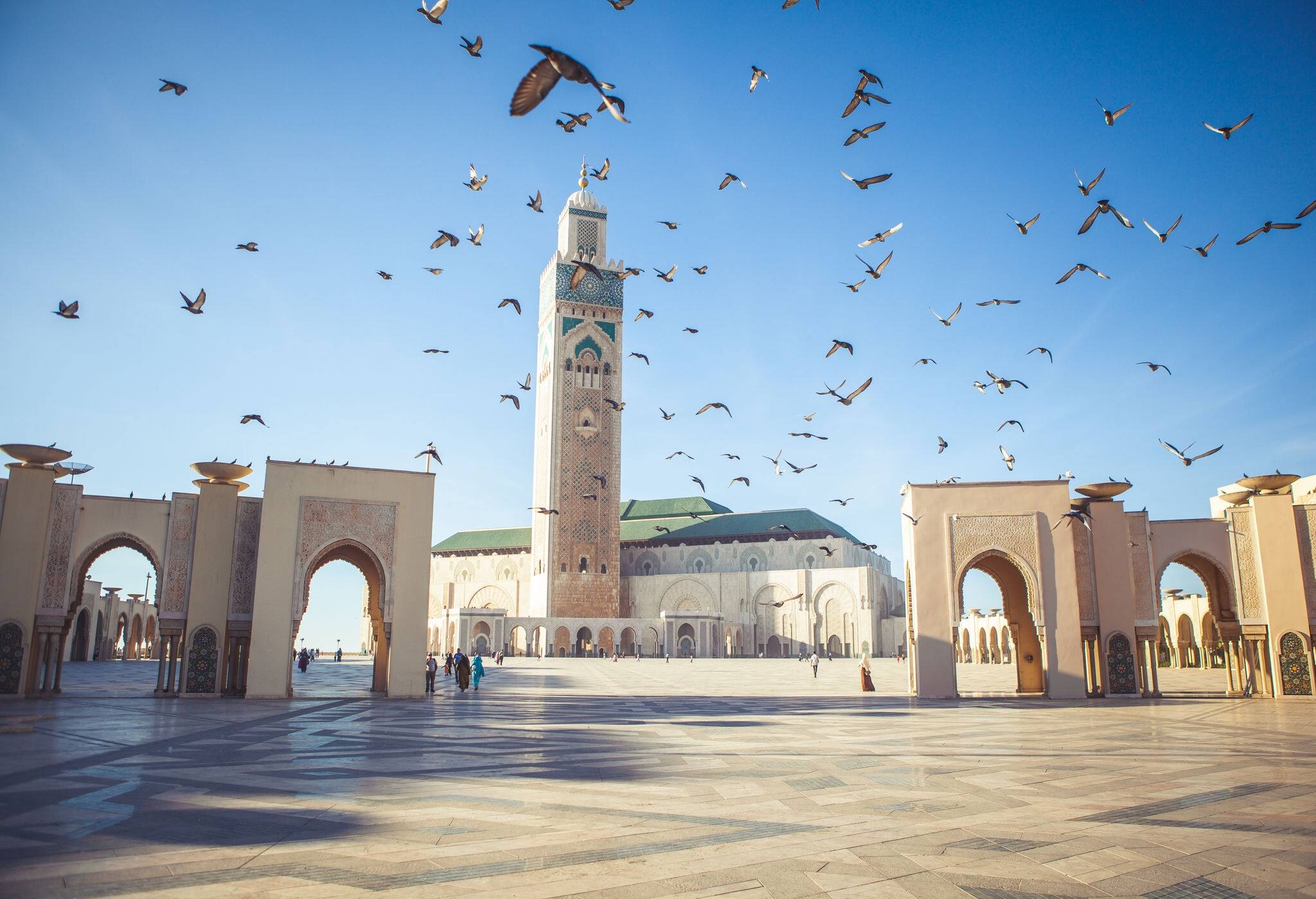 The pigeons soared over the area of the mosque Hassan II in Casablanca, Morocco.