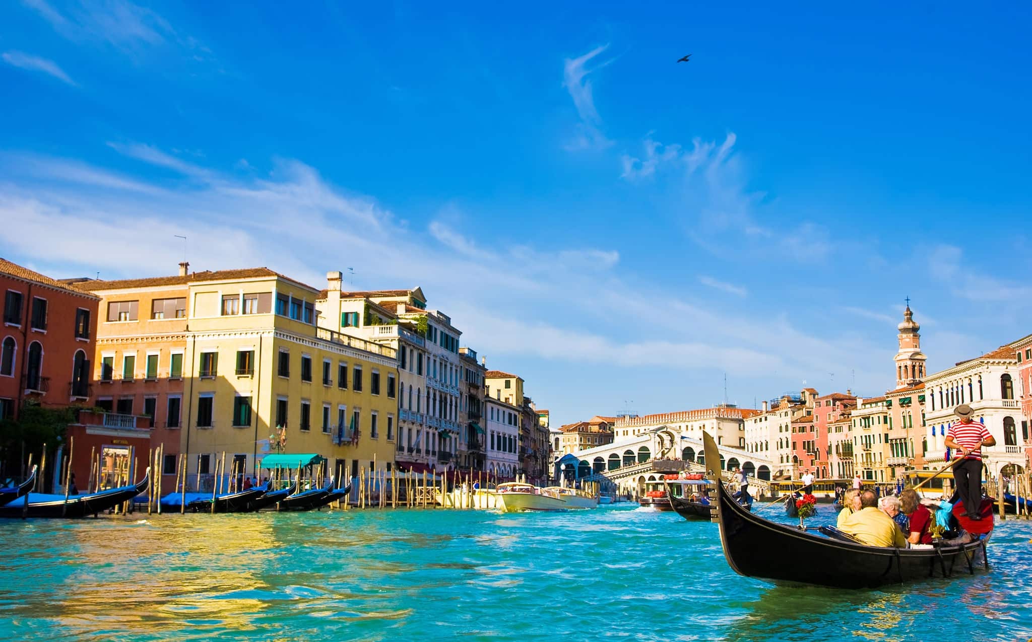 Venice Grand canal with gondolas and Rialto Bridge, Italy in summer bright day
