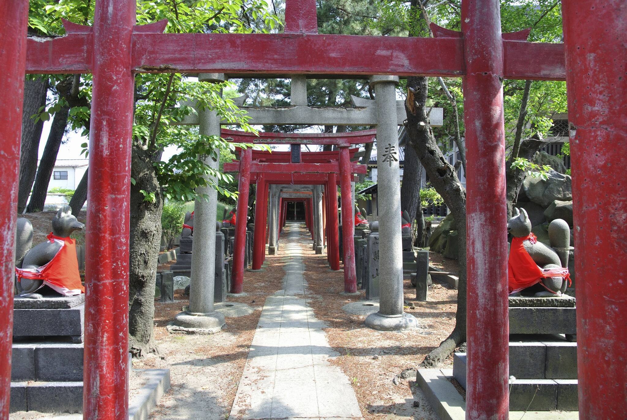 The Panorama Of Sakata City In Summer