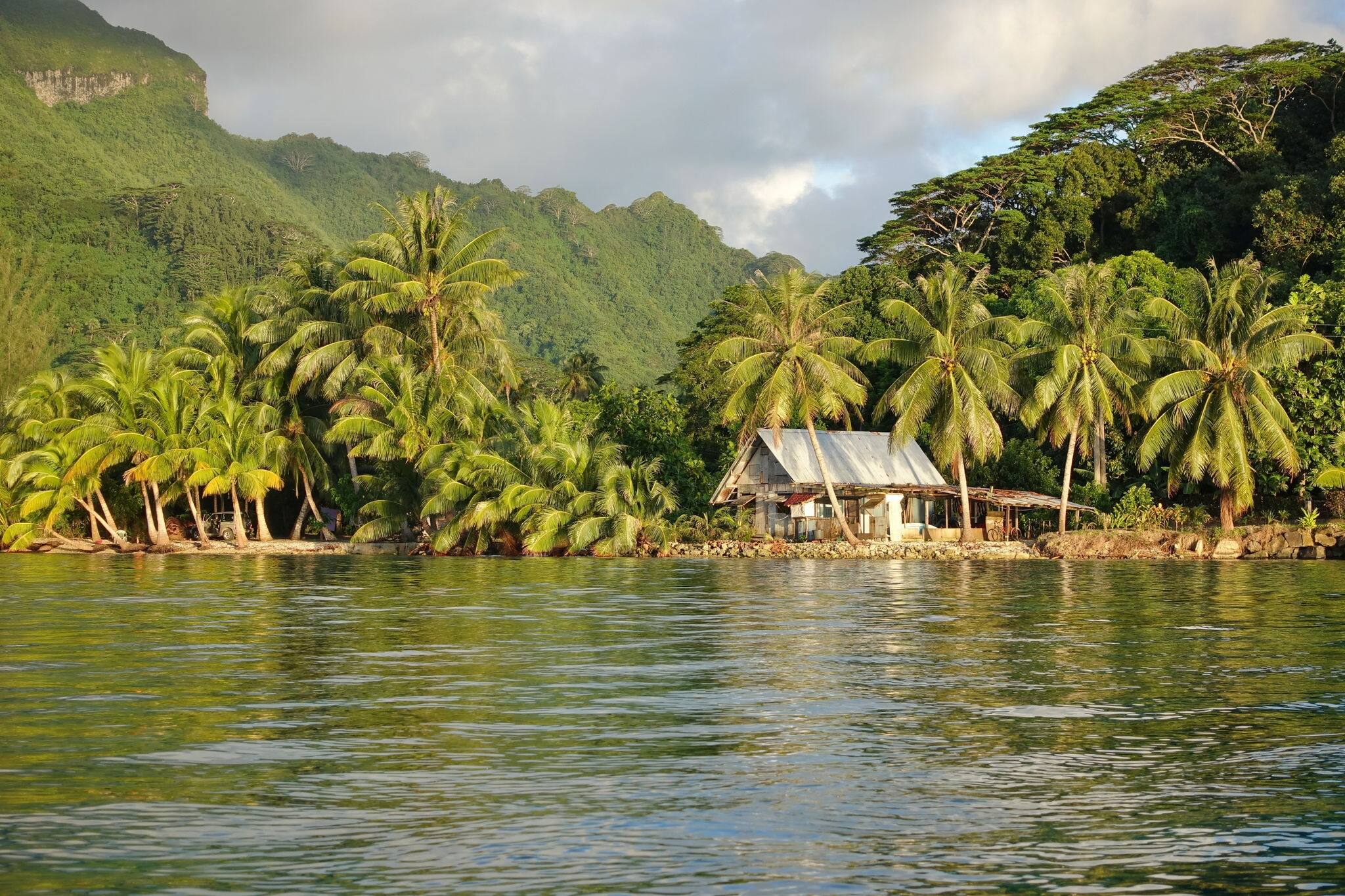 Coastal landscape with a rustic house and coconut trees on the shore, Huahine island, Pacific ocean, French Polynesia