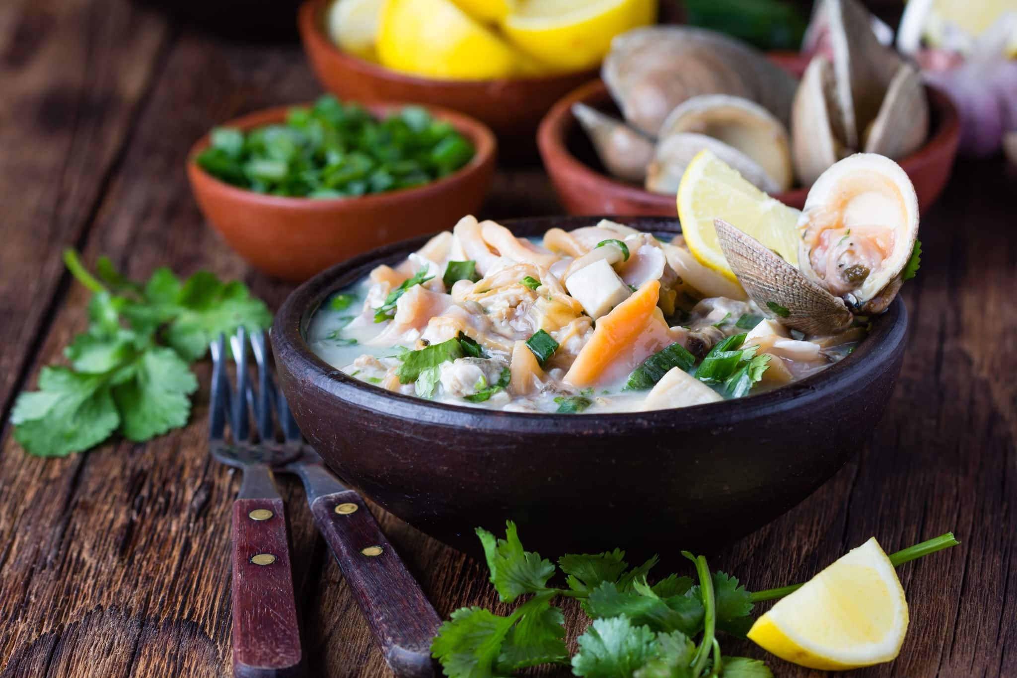Latin American food. Seafood shellfish ceviche raw cold soup salad of seafood shellfish almejas, lemon, cilantro onion in clay bowl on wooden background. Traditional dish of Peru or Chile