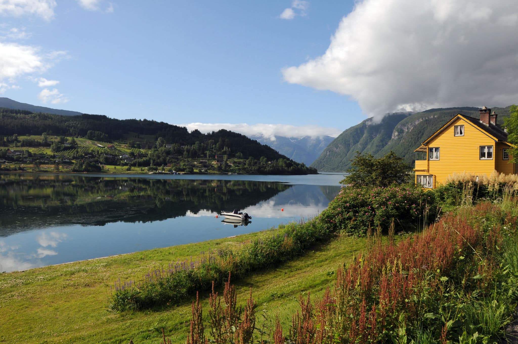 Farmland around Hardangerfjord, Norway