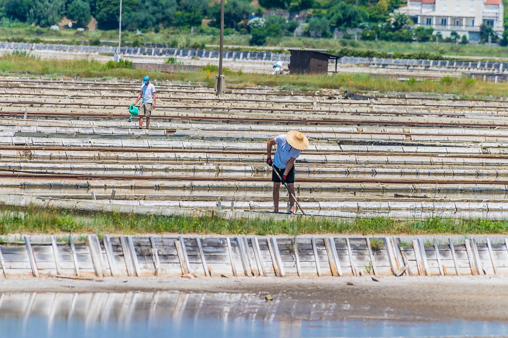 A view of work at the salt pans at Secovlje, near to Piran, Slovenia in summertime