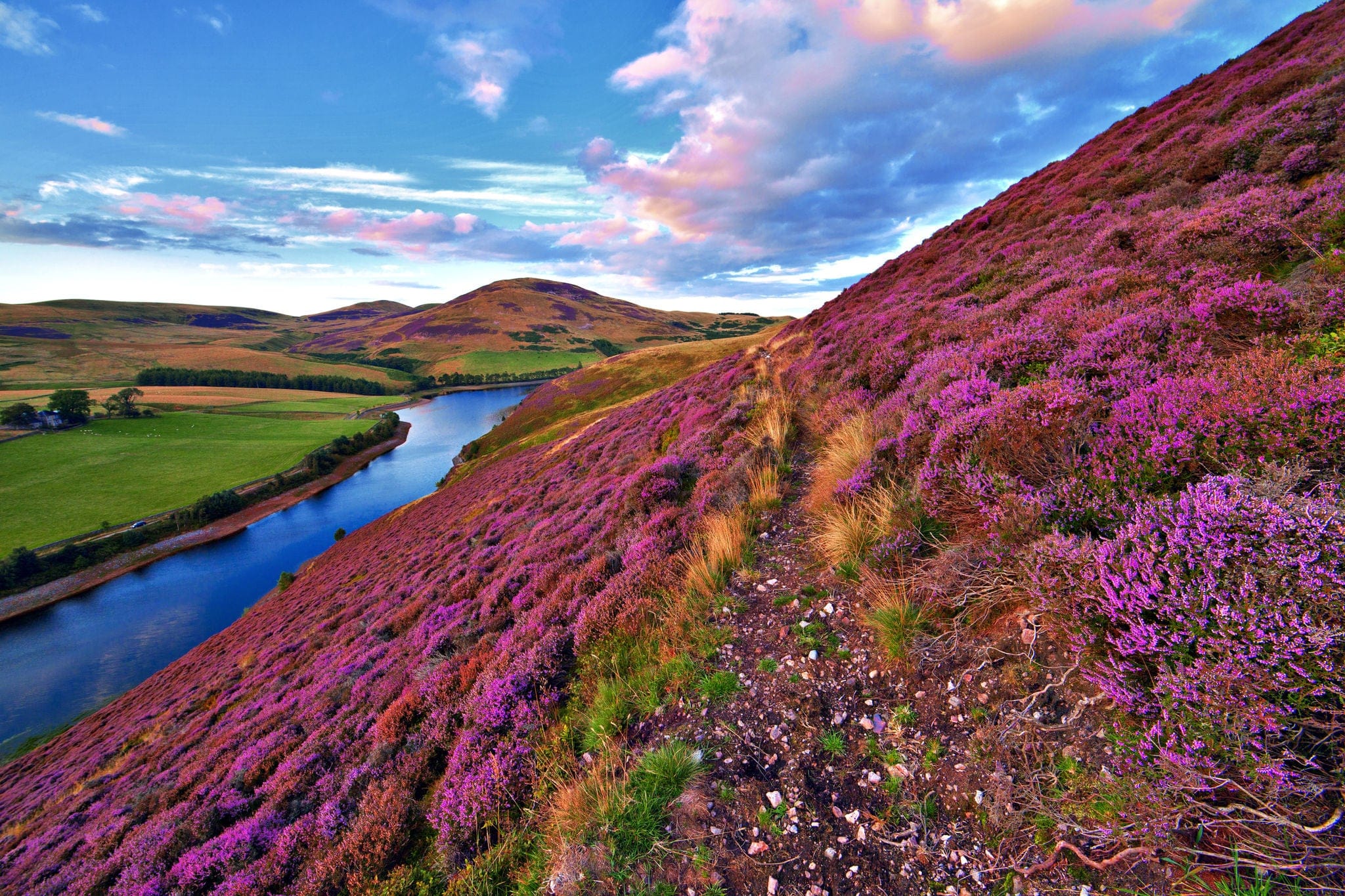 Colorful landscape with a footpath through the hill slope covered by violet heather flowers and green valley, river, mountains and cloudy blue sky on background. Pentland hills,  Edinburgh, Scotland