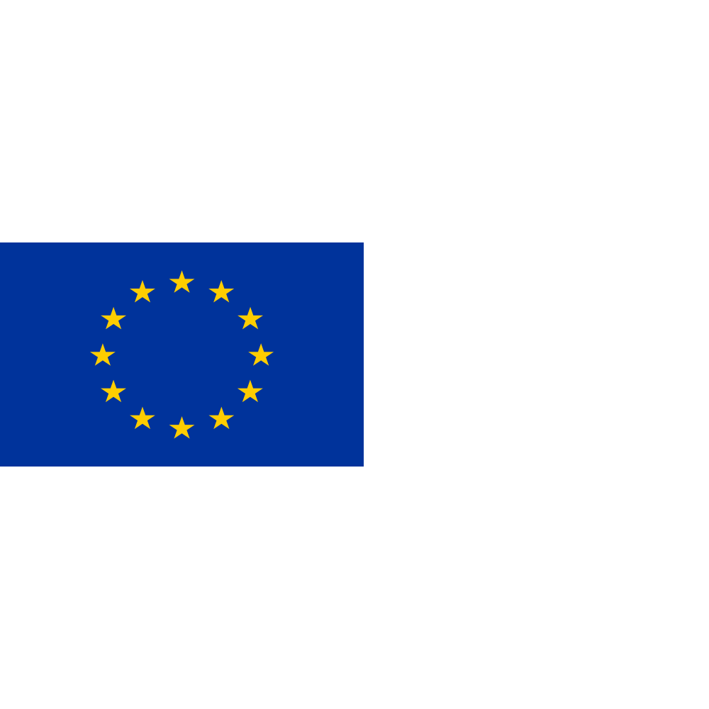 European Community Flag