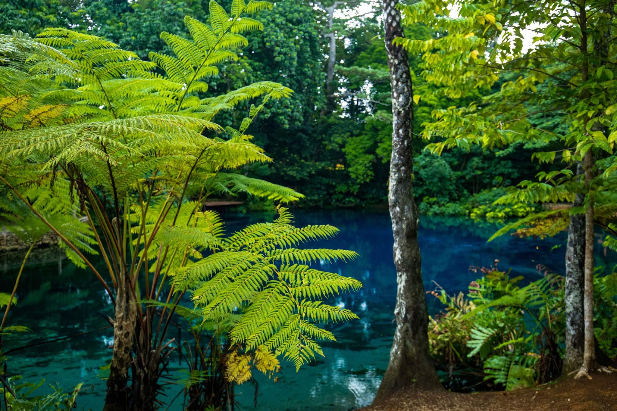 Nanda Blue Hole, Espiritu Santo, Vanuatu, near Luganville
