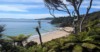 Oban (Stewart Island - Rakiura), New Zealand