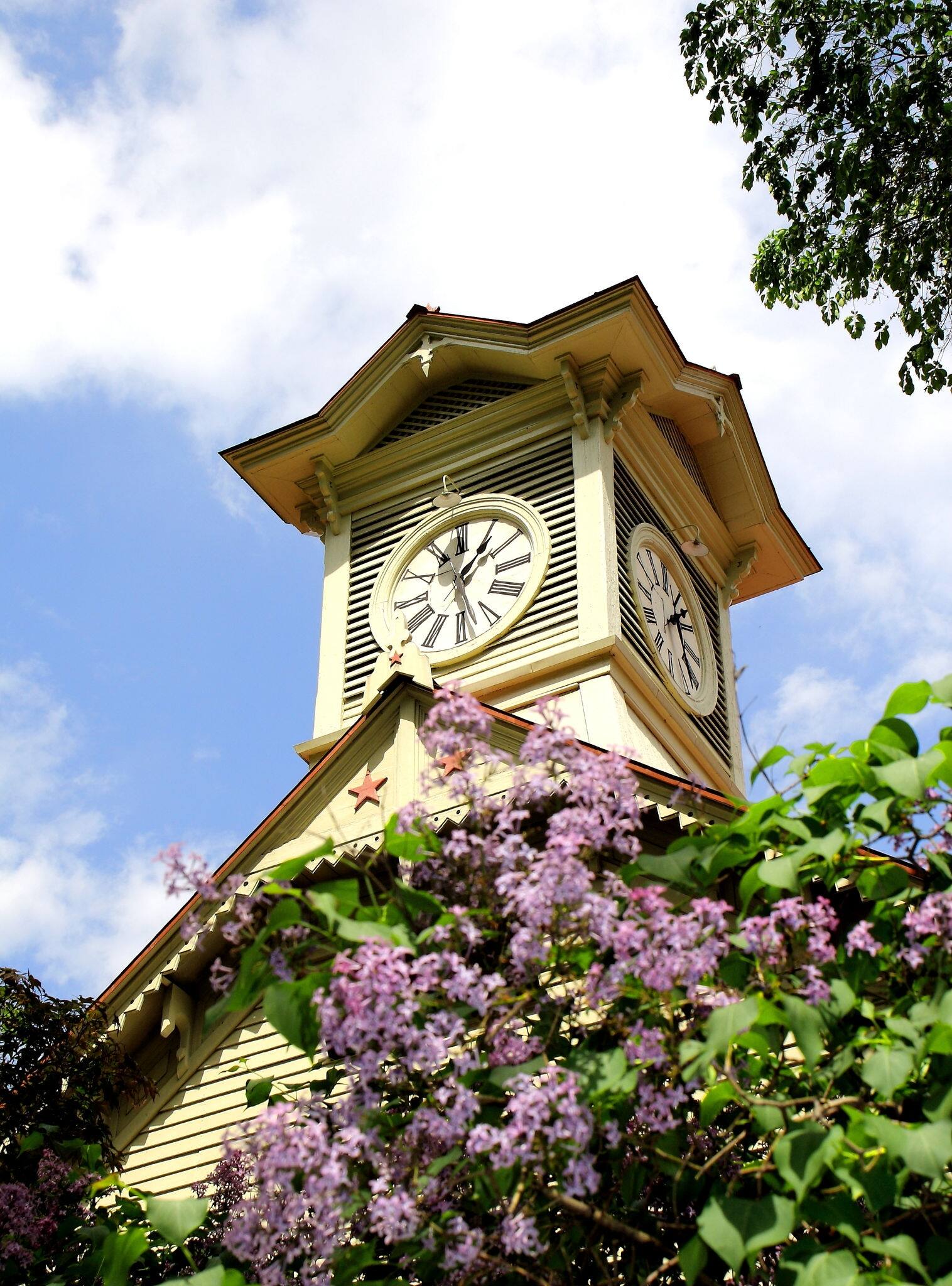 Sapporo Clock Tower and lilac