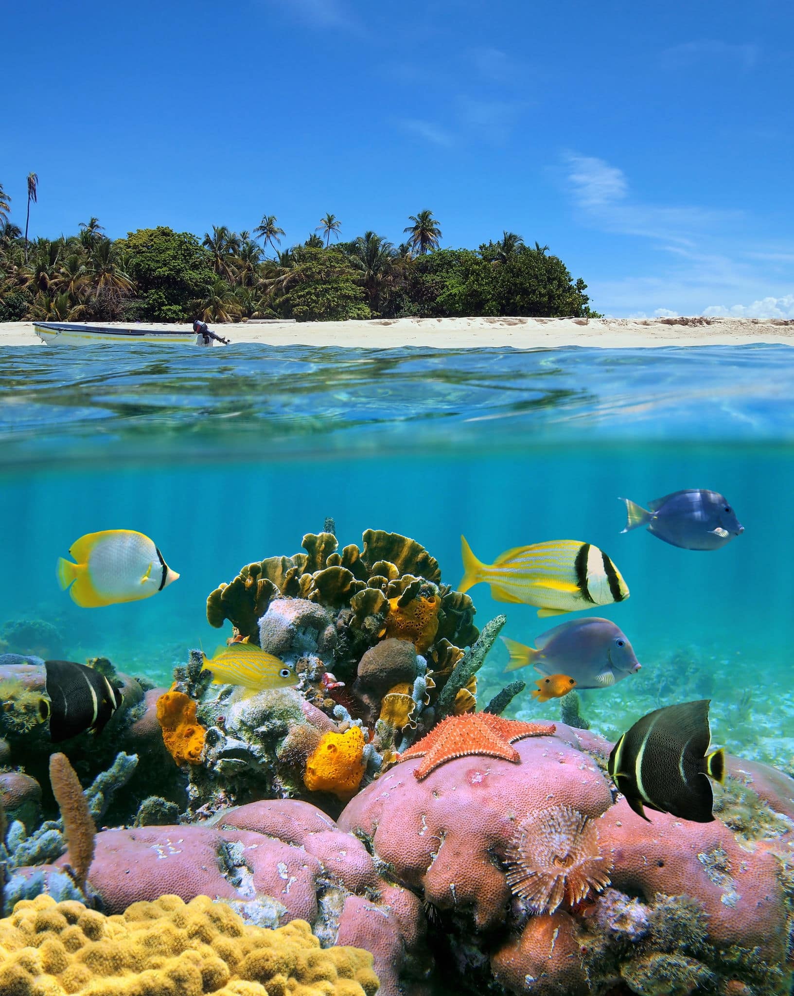 Over and under sea surface split image near a tropical island with sandy beach and colorful marine life with tropical fish underwater