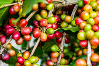 Puntarenas (Puerto Caldera), Costa Rica