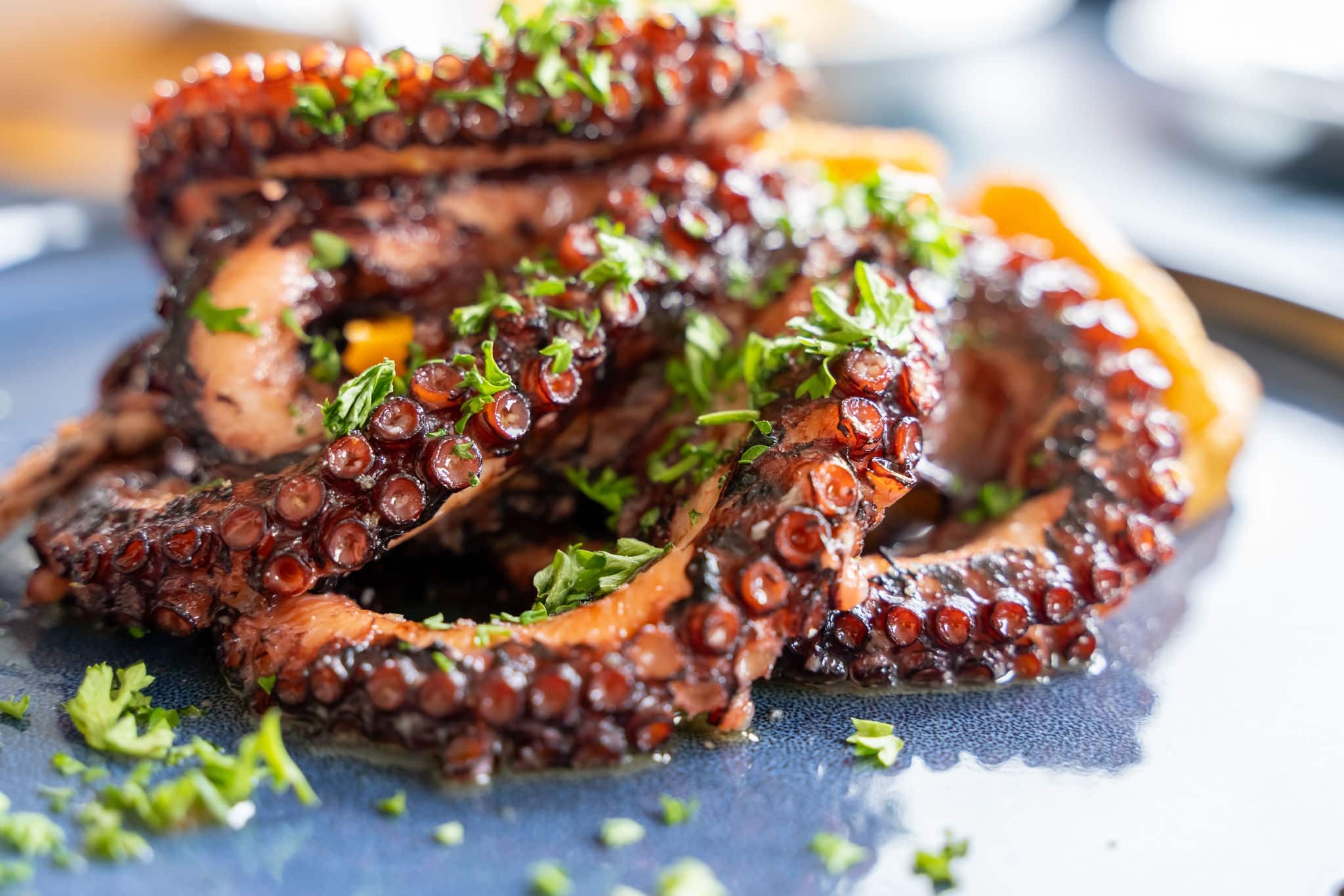 Delicious gourmet grilled octopus, or Octopus a la gallega