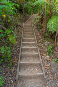 Whangarei, New Zealand