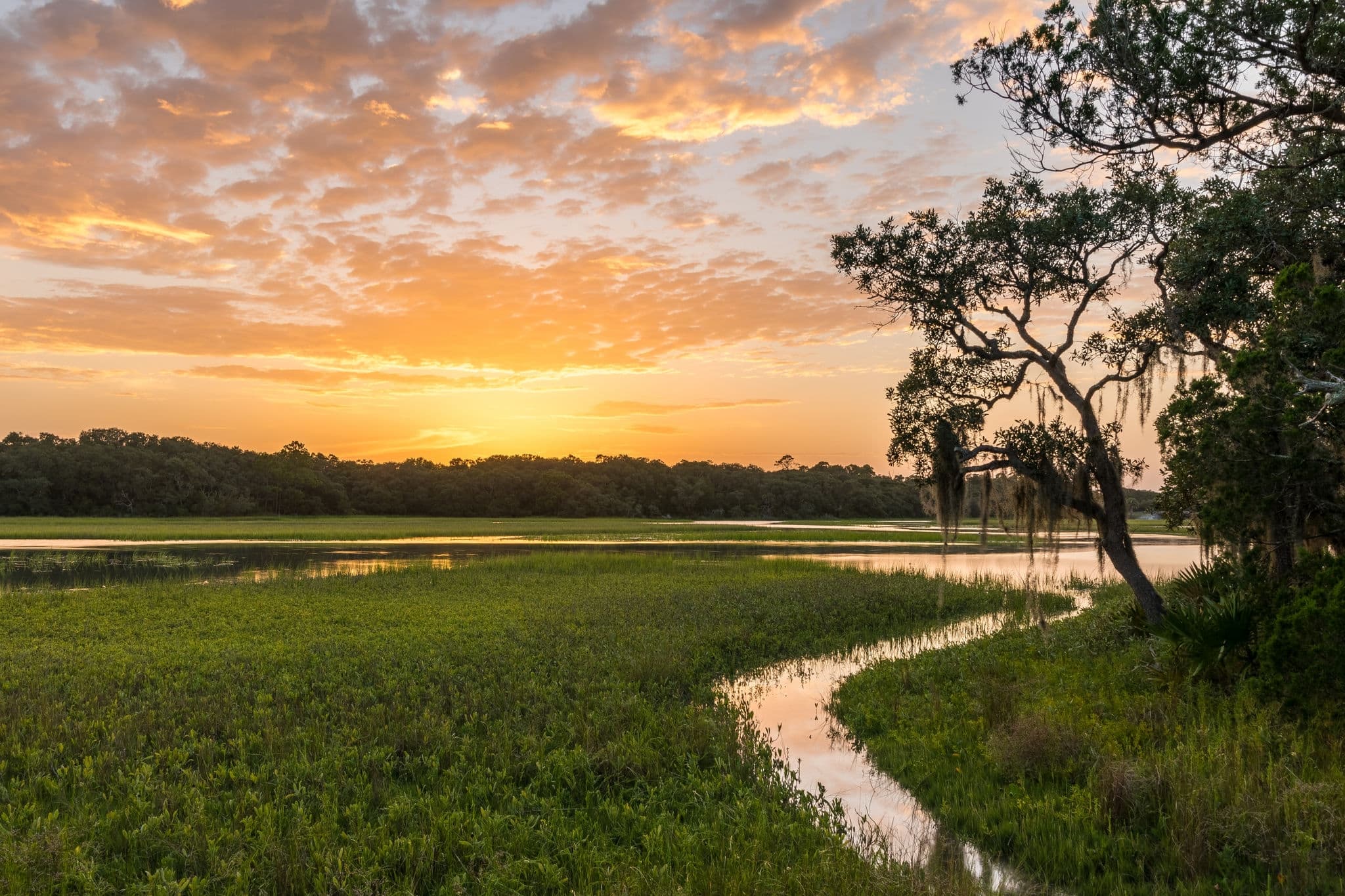 Sunset view west over marsh and water on Gagari Rajgan Kahuta, Rawalpindi,Pakistan