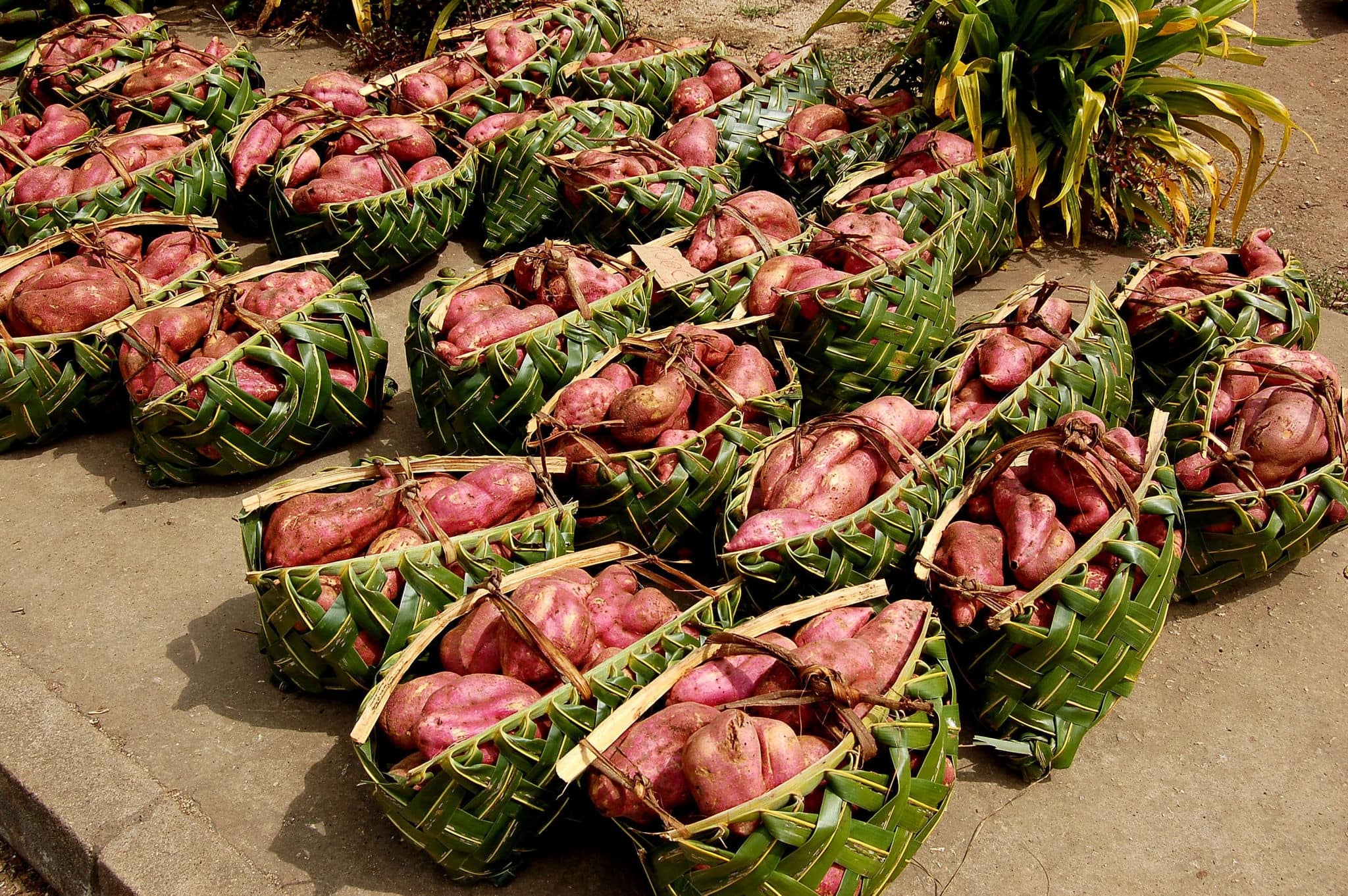 Frond baskets with kumara (sweet potatoes) in the vegetable market in Port Vila, Vanuatu