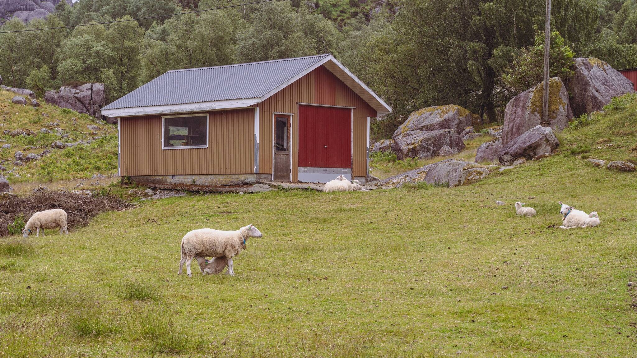 farm in norway
