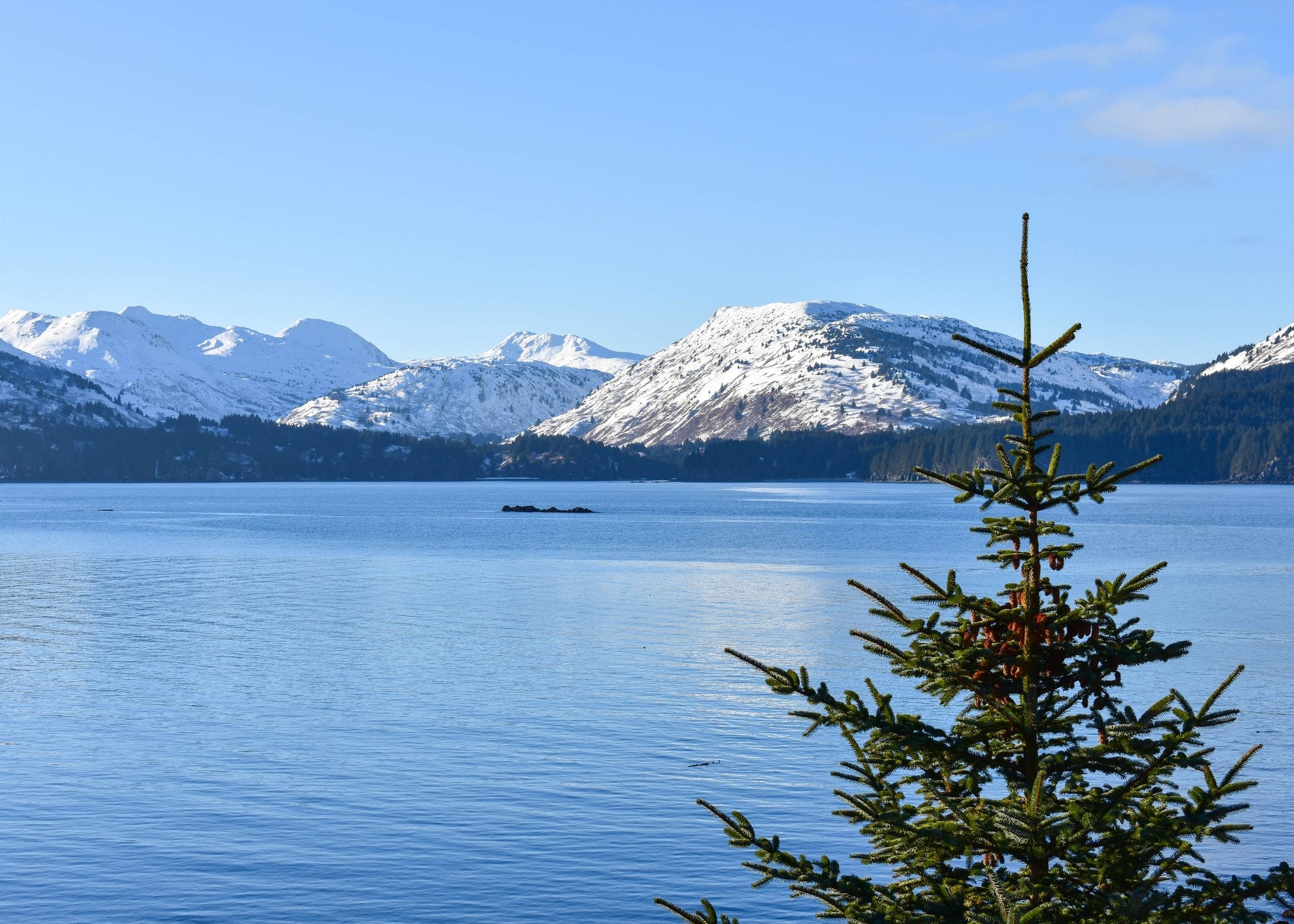 Winter Sunshine Islands