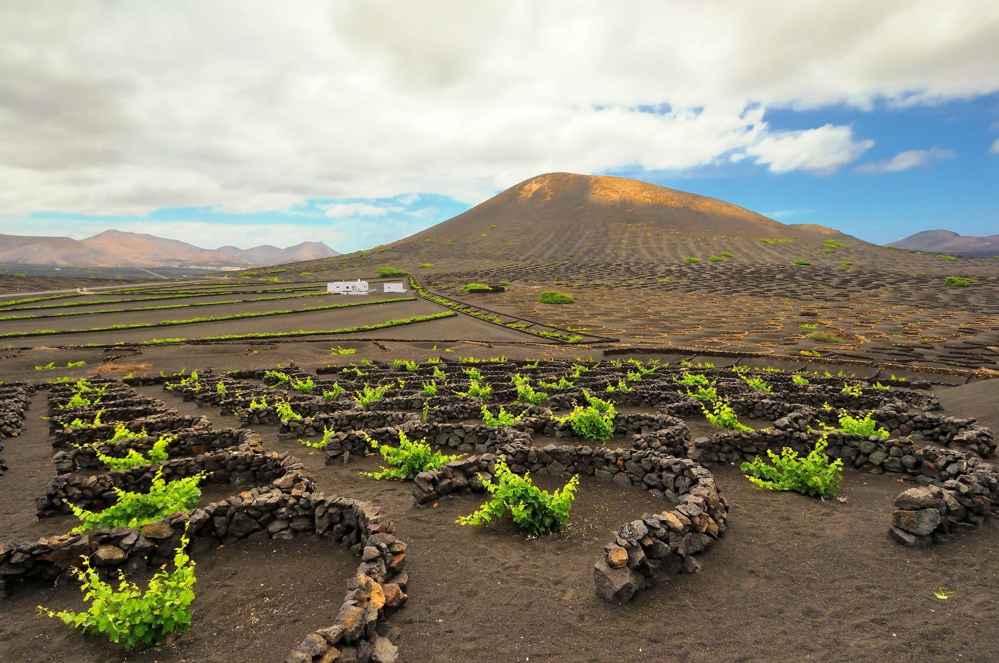 La Geria - vineyard region of Lanzarote
