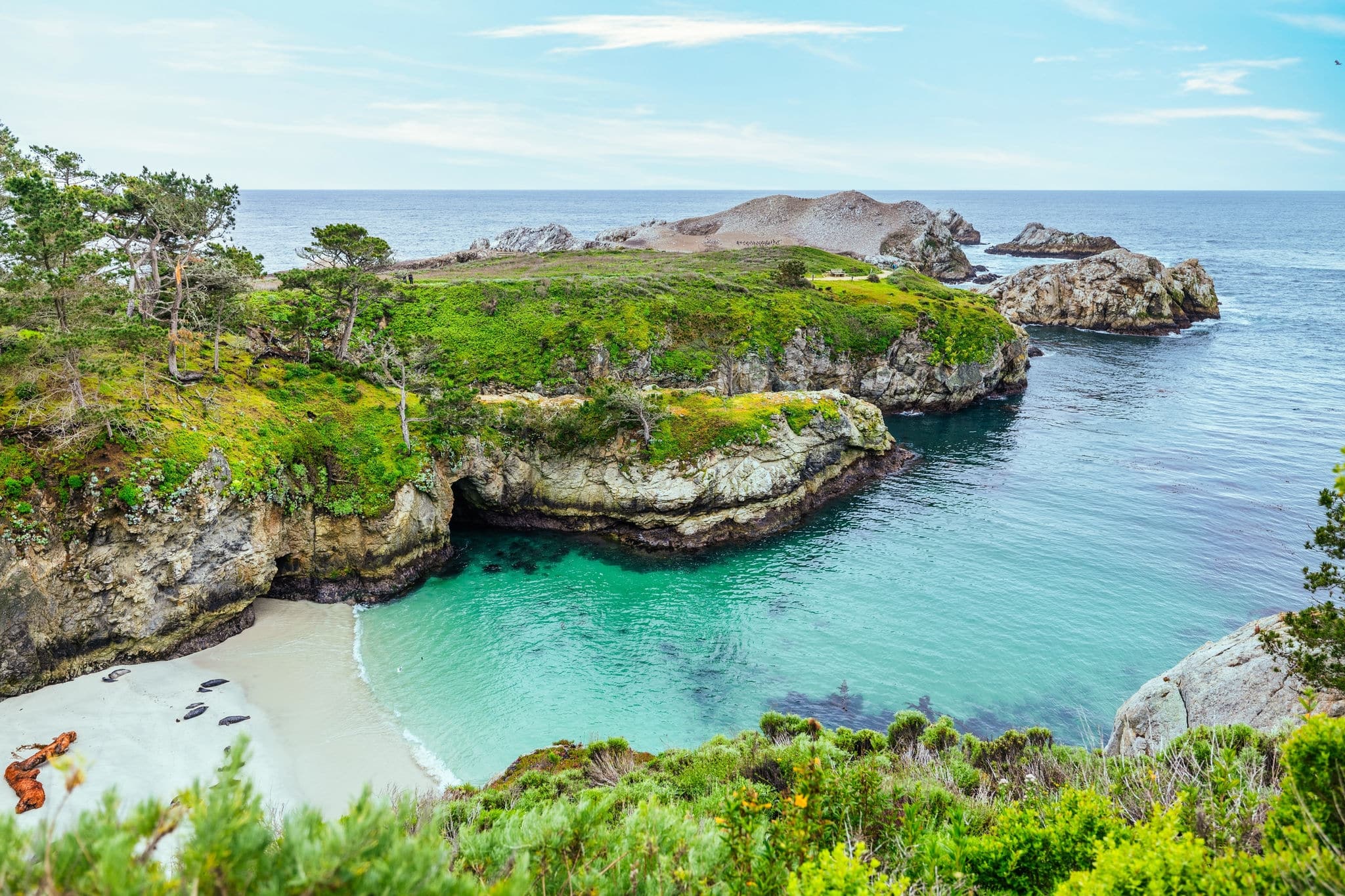 Point Lobos State Natural Reserve, Carmel, Monterey County, California, United States of America, North America