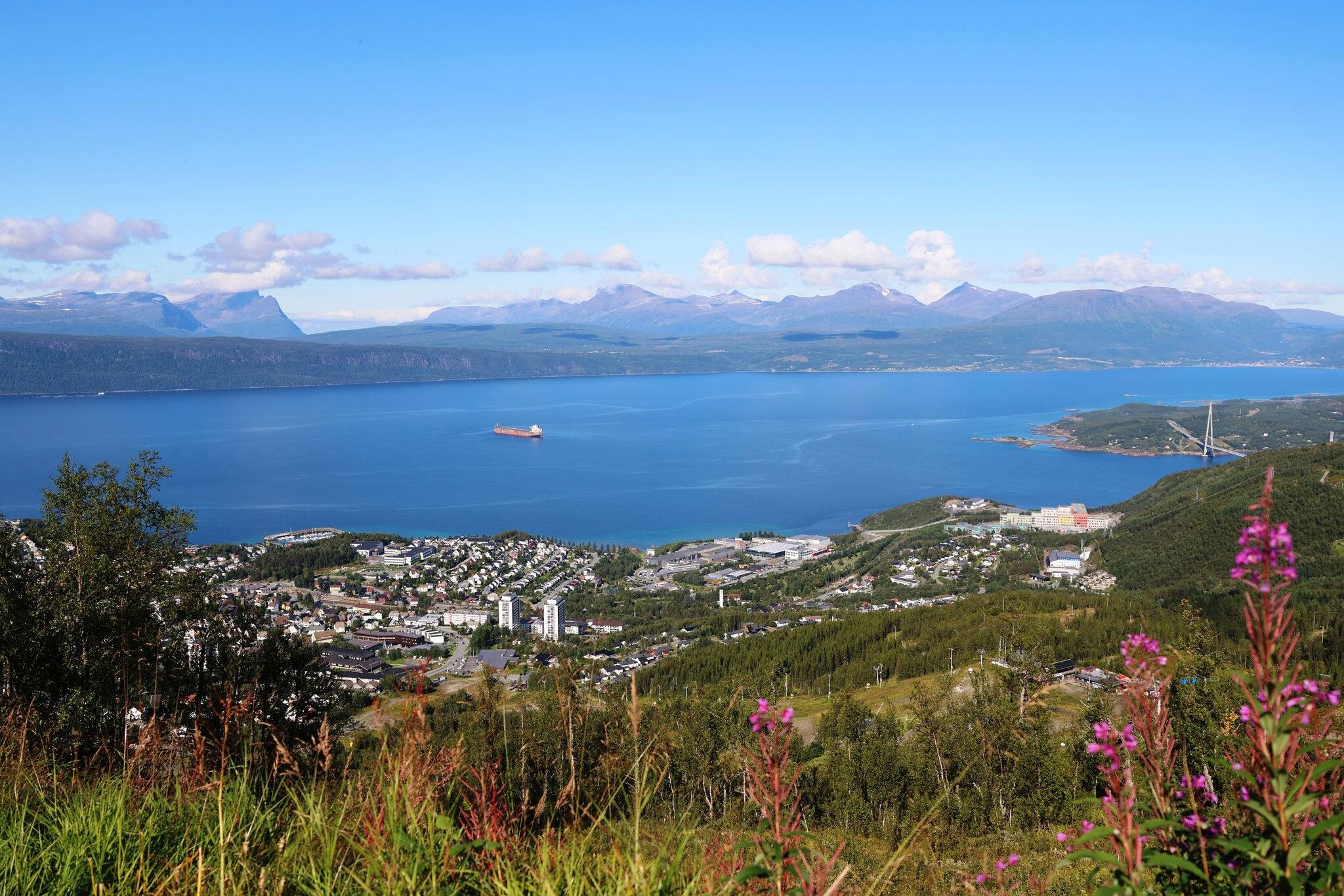 The view of Narvik from the path to Narvikfjellet.