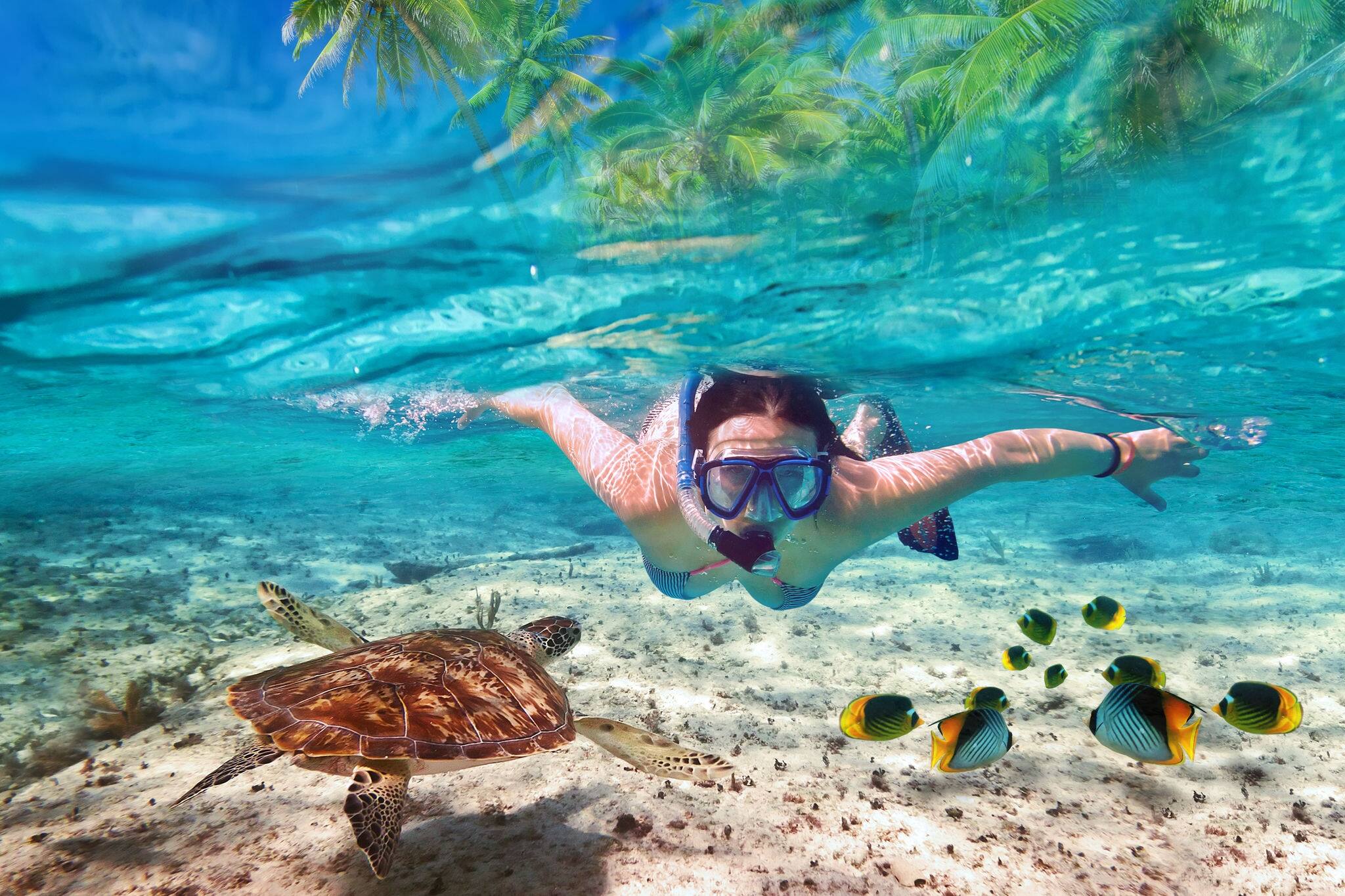Beautiful women snorkeling in the tropical sea