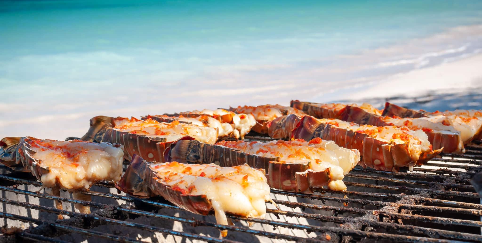 Close up of delicious fresh lobsters cut in half and cooking on a barbecue grill against a beach and turquoise sea background.
