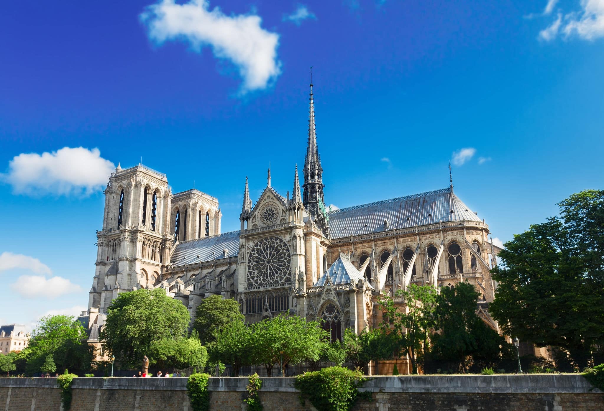 Notre Dame  cathedral  at summer day, Paris, France