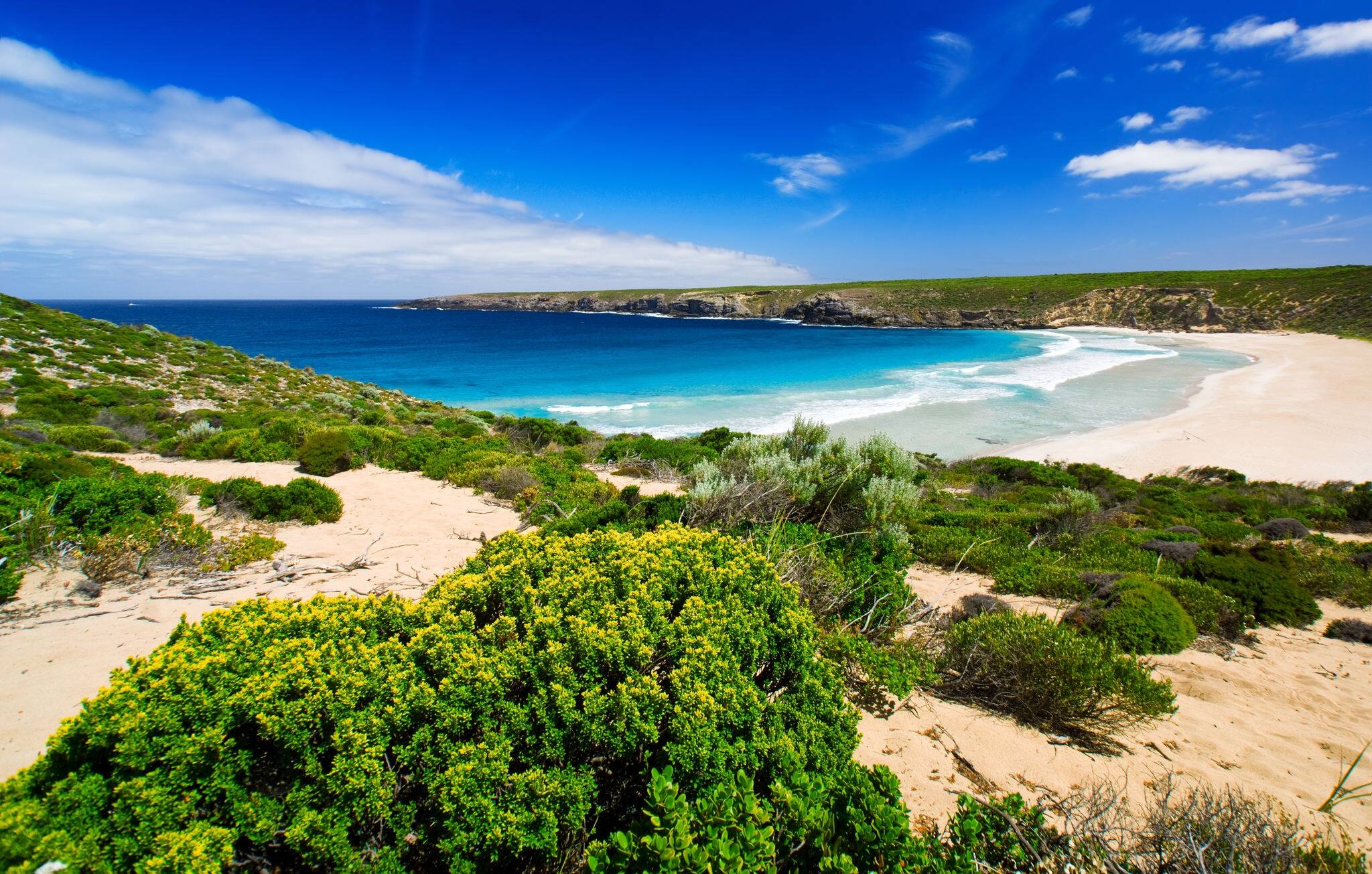 Stunning West Bay on Kangaroo Island