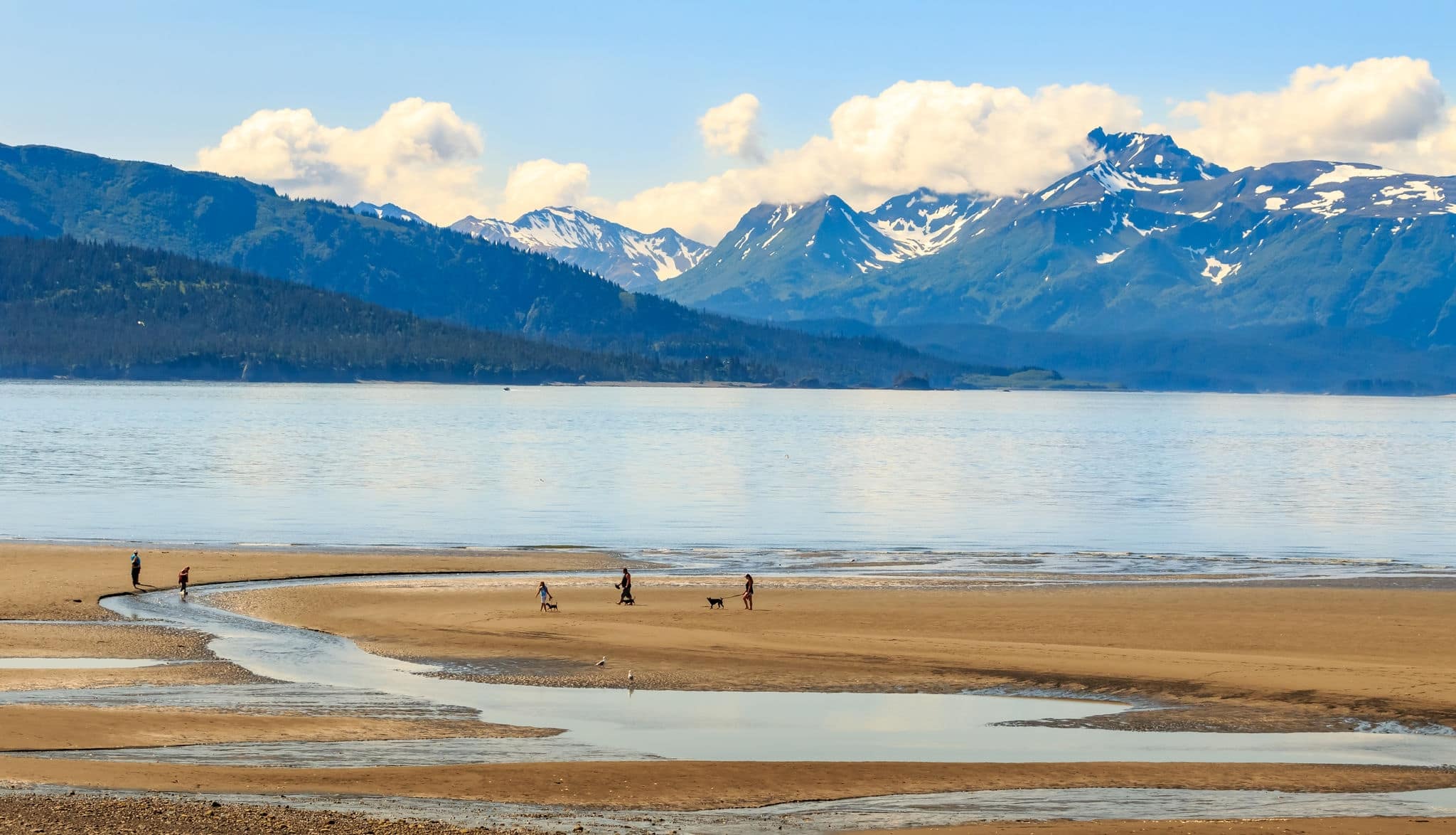 Beach on the Homer Spit, Homer, Alaska