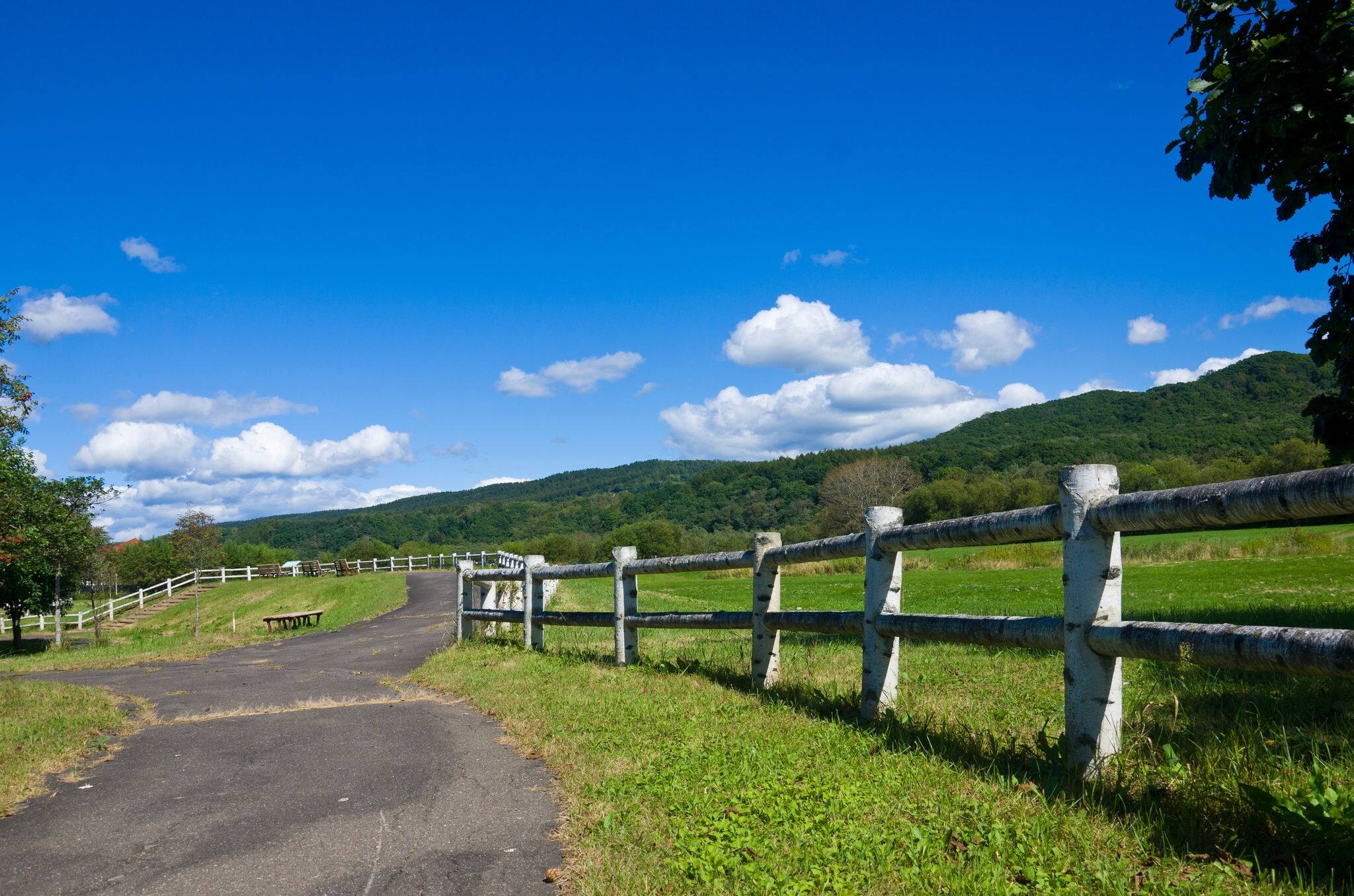 Kushiro Shitsugen national park in Hokkaido prefecture, Japan.