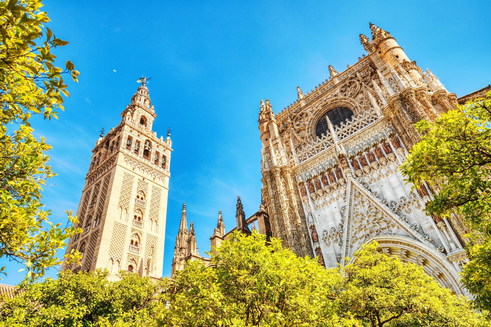 Seville Cathedral and Giralda Tower during Beautiful Sunny Day in Seville, Spain     