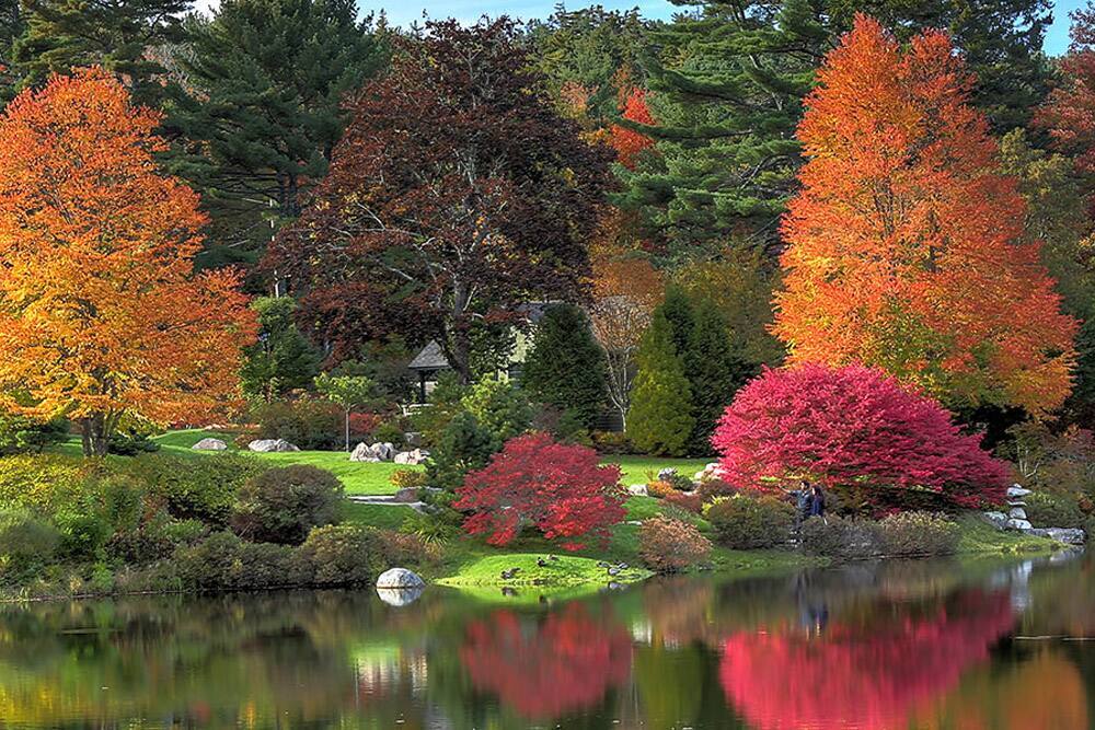 Azalea Garden Azalea Garden