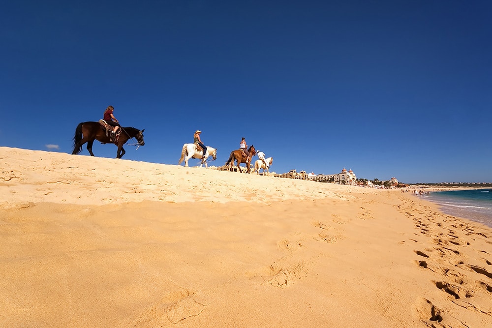 Horseback riding in Los Cabos