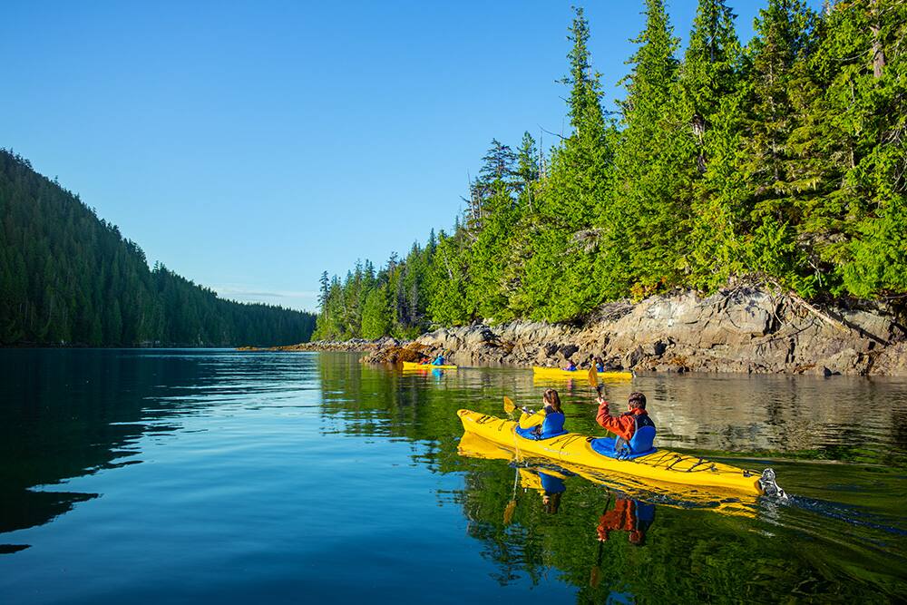 Un grupo de turistas navegando en kayak en Alaska Un grupo de turistas navegando en kayak en Alaska