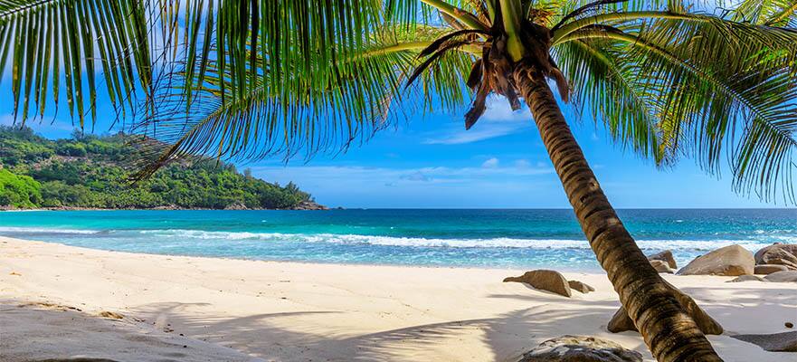 El Caribe, viaje de ida y vuelta desde Nueva Orleans: Harvest Caye, Cozumel y Roatán, 7 días