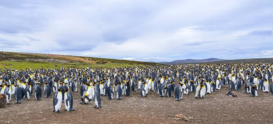 América del Sur desde Buenos Aires hasta Santiago: Argentina y Chile, 14 días