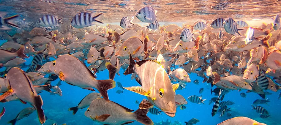 Rangiroa, Polinesia Francesa