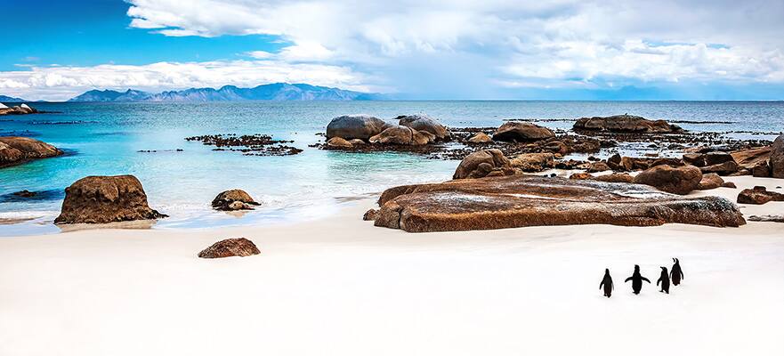 África, de Mauricio a Ciudad del Cabo: Sudáfrica y Madagascar, 12 días