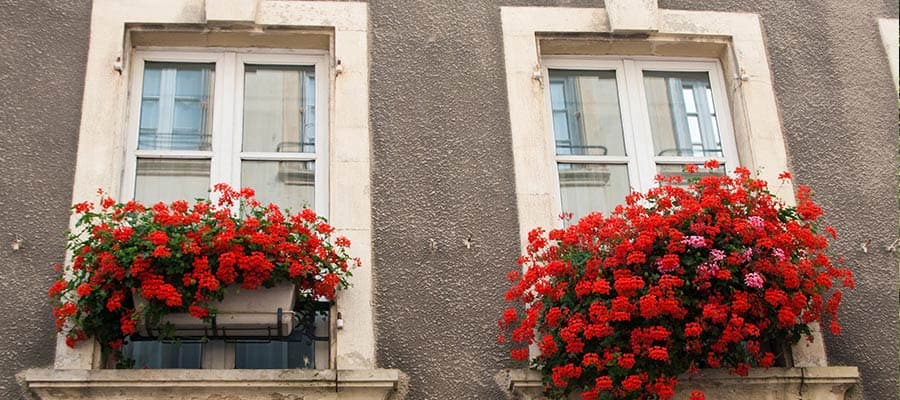 Cruceros desde Cherbourg