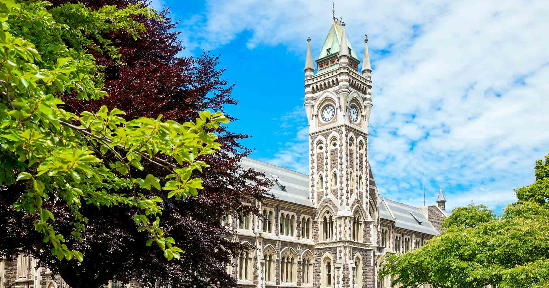 Lo más destacado de Dunedin