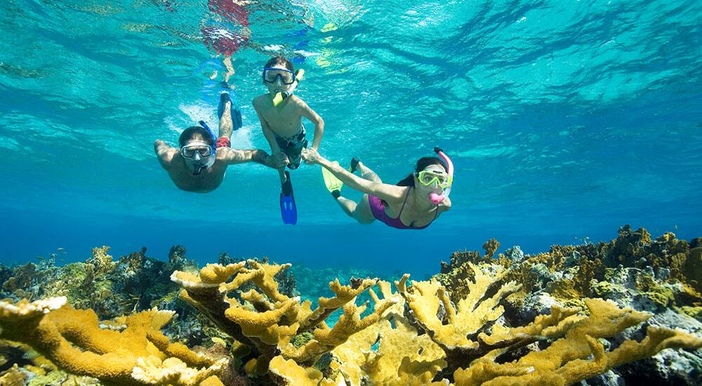 Best Snorkelling Cruises NCL Travel Blog