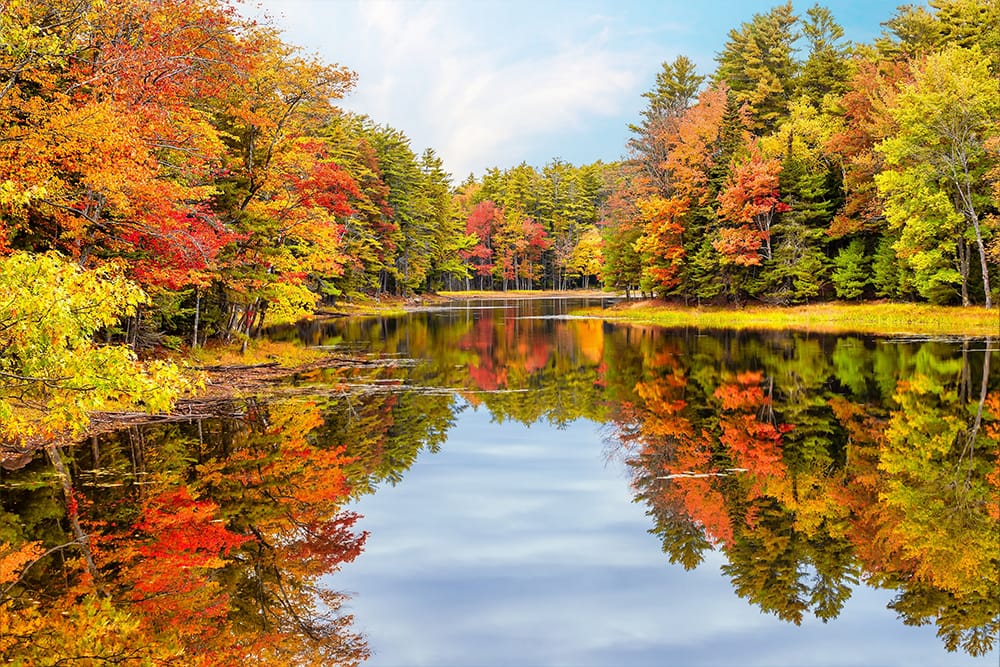 Fall Foliage Cruises: Best Cruises For Leaf Peeping