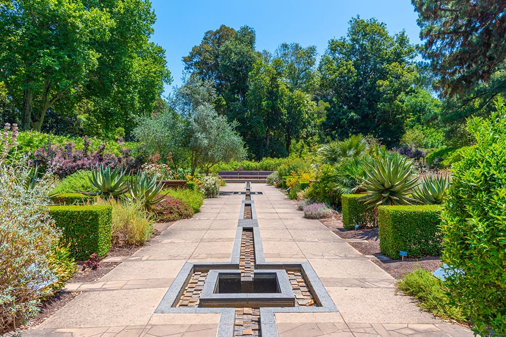 Botanical garden in Adelaide, Australia