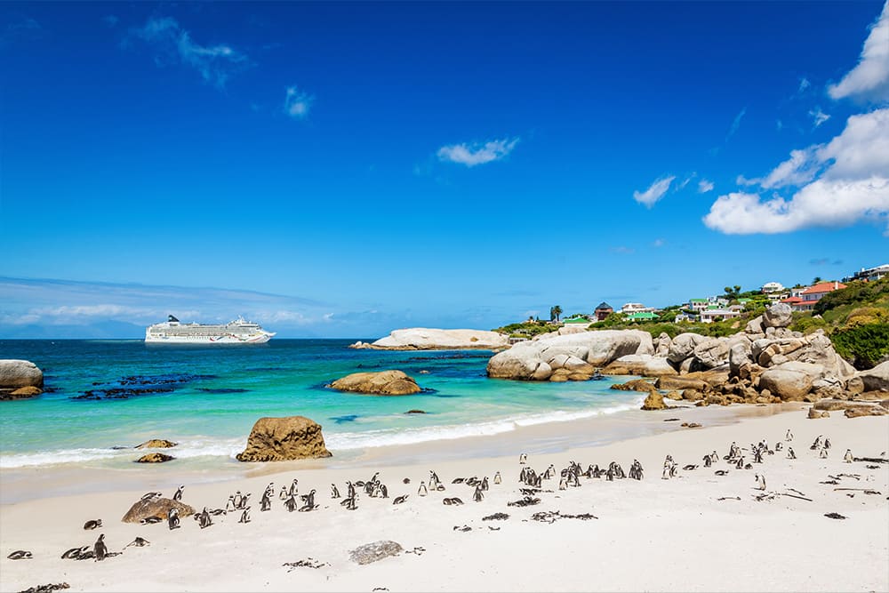 La Norwegian Dawn vicino a Boulders Beach, Città del Capo, Sudafrica