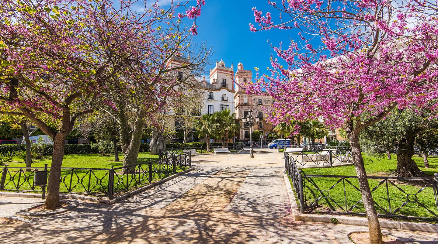 Seville (Cadiz), Spain