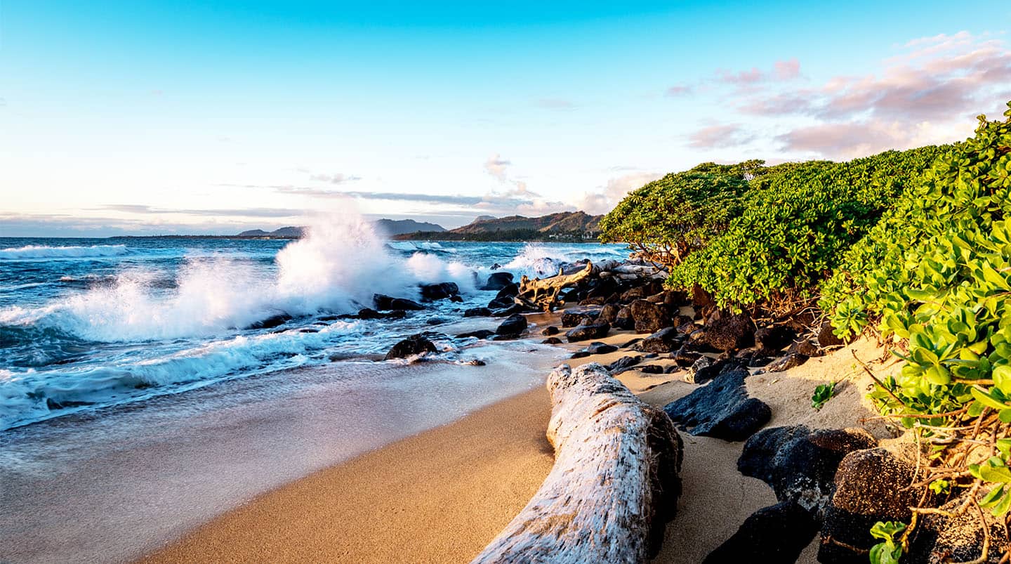Alaska y Hawái: Kauai y Kona