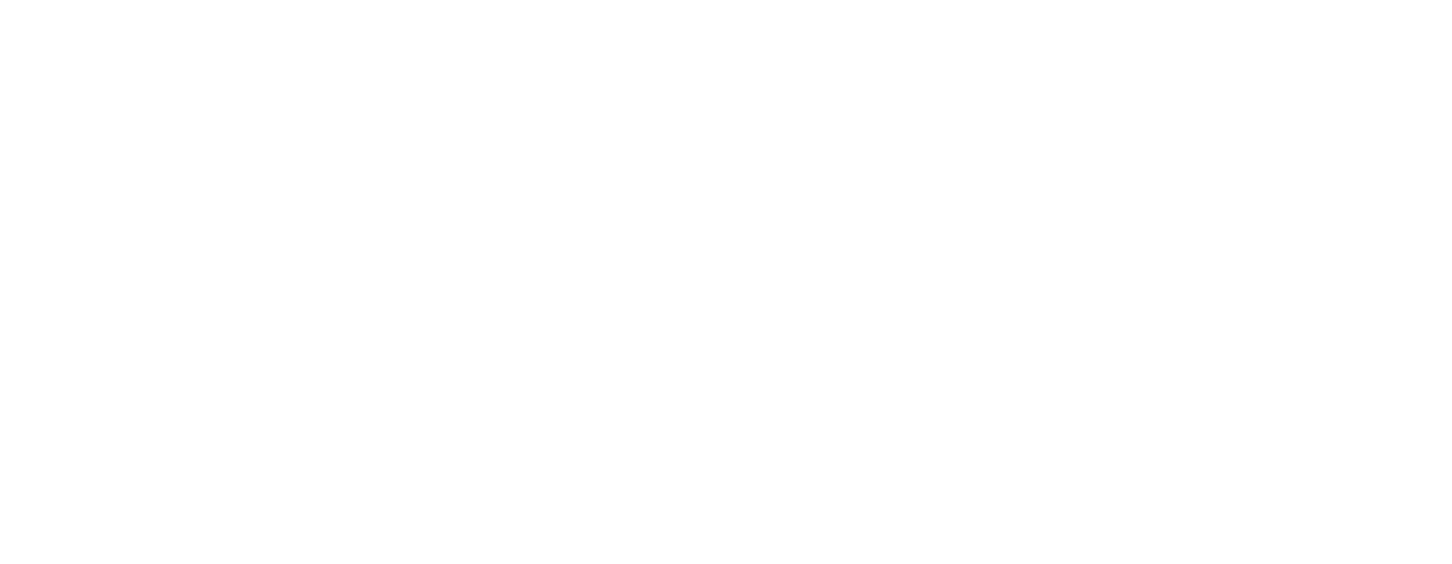 Logo lingua di servizio