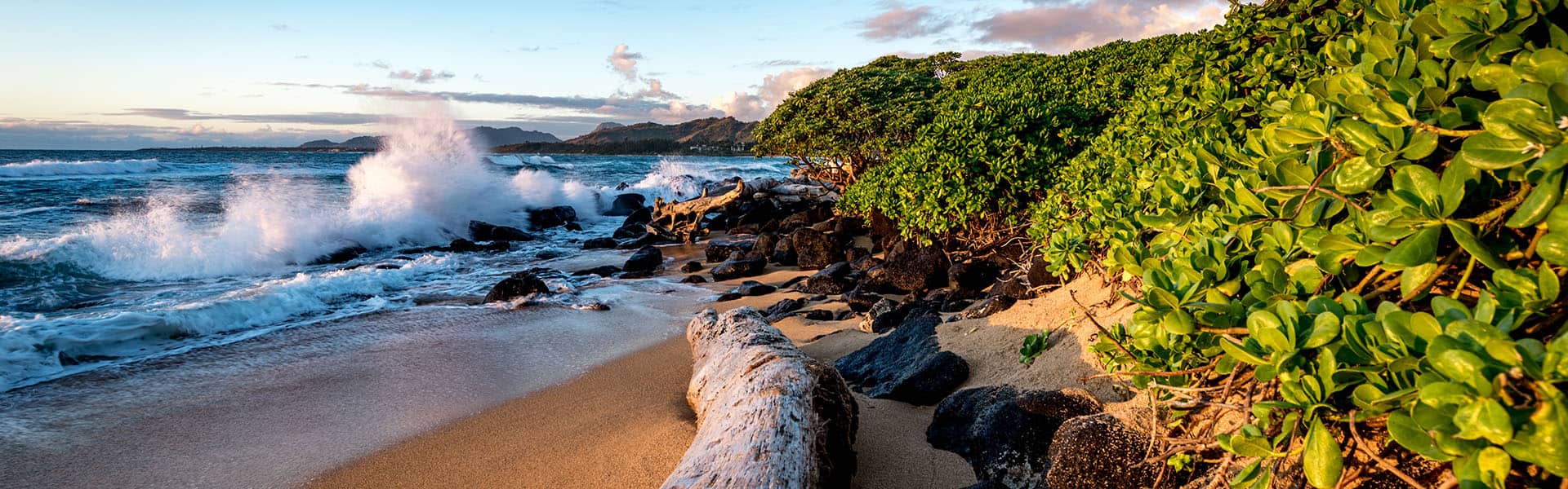 Alaska & Hawaii: Kauai & Kona