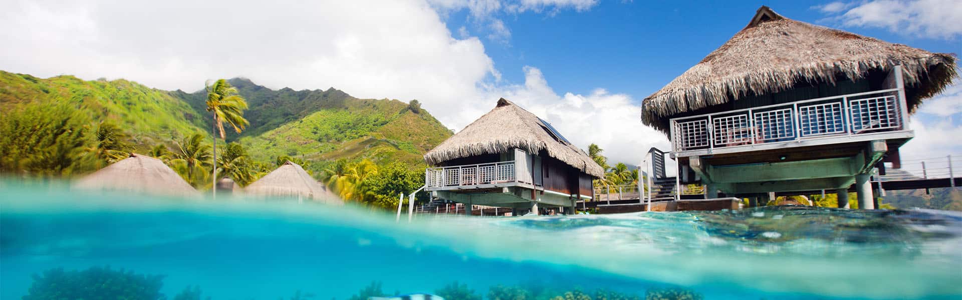 South Pacific: Kauai, Maui & Moorea